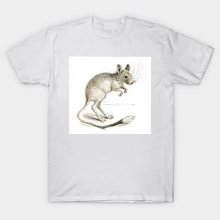 The Jerboa T-Shirt